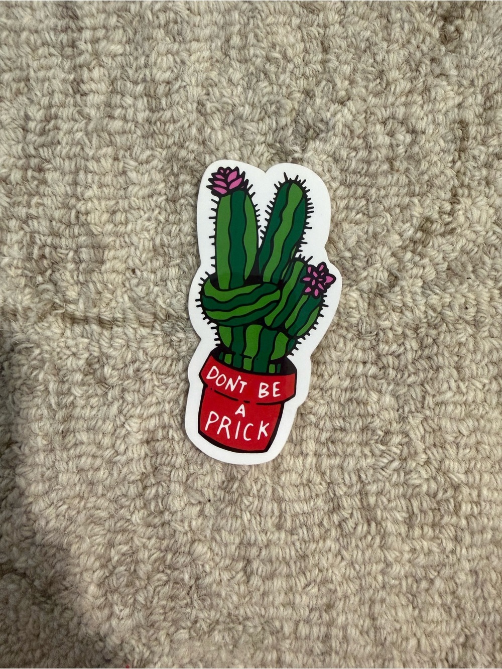 Tilly’s Don’t Be a Prick Sticker